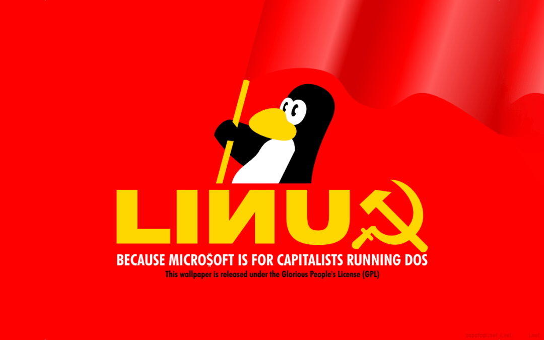 Un sous-système Linux pour MS-DOS